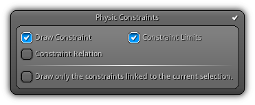 properties_world_debug_draw_physics_constraints.png